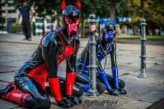 DSC_1437 DSC_1437
