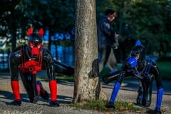 DSC_1532 DSC_1532